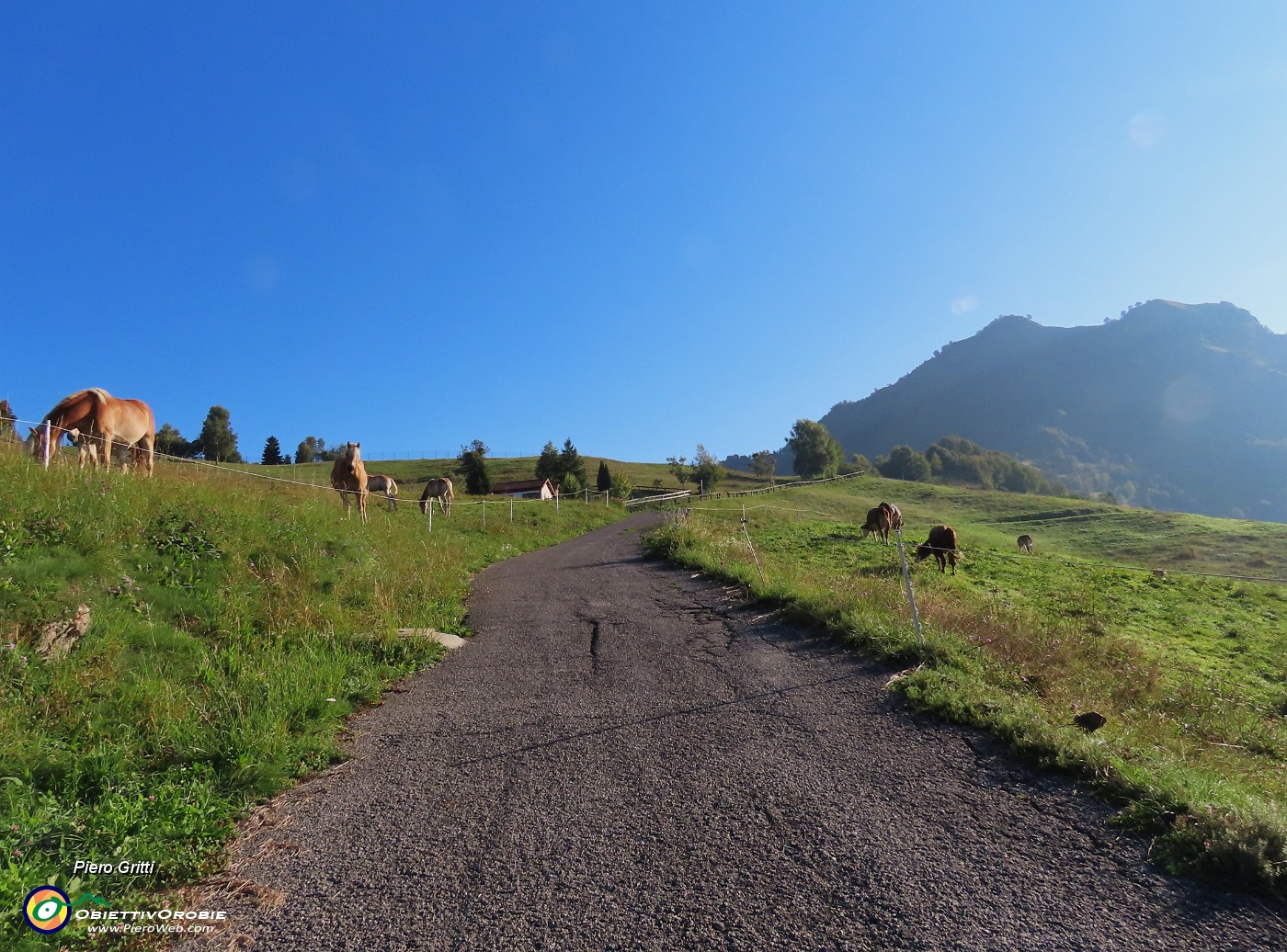 05 Vista in Monte GIoco con cavalli al pascolo.JPG